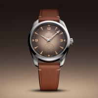 Seamaster Railmaster