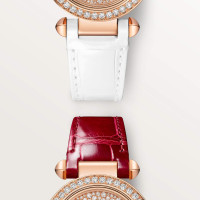 Pasha de Cartier