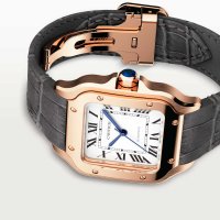 Santos de Cartier