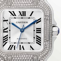 Santos de Cartier