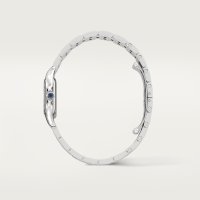 Panthère de Cartier