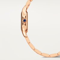 Panthère de Cartier