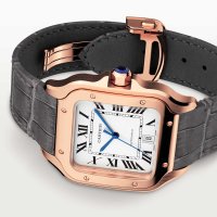 Santos de Cartier