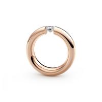 Spannring® Oval 