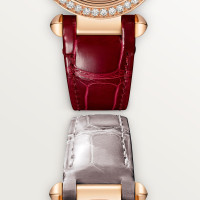 Pasha de Cartier