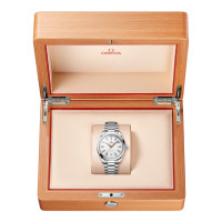 Seamaster Aqua Terra 150M
