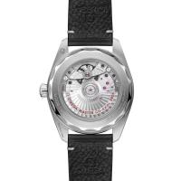 Seamaster Railmaster