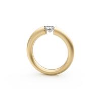 Spannring® Verlauf