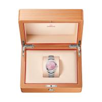 Seamaster Aqua Terra Shades