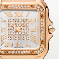 Panthère de Cartier