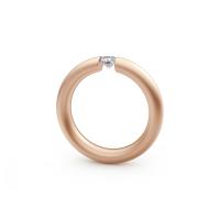 Spannring® Oval 