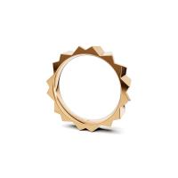 Vivida Z Ring