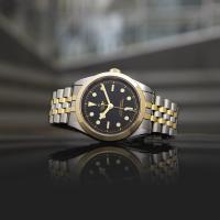 Black Bay One 39 S&G