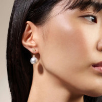 Shooting Stars Ohrhängerpaar