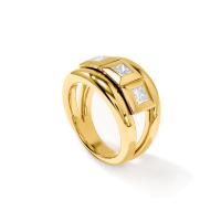 CURRICULUM VITAE Ring 3 small