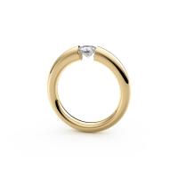 Spannring® Verlauf