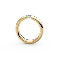 Spannring® Oval