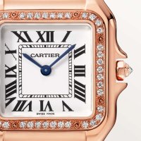 Panthère de Cartier
