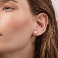 Shooting Stars Ohrstecker