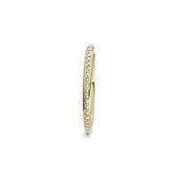 Satellite Fine Ring