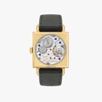 Tetra Gold 27
