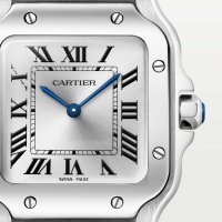 Santos de Cartier