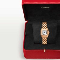 Panthère de Cartier