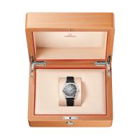 Seamaster Railmaster