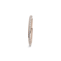 Satellite Fine Ring