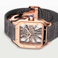 Santos de Cartier