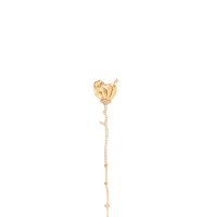 Wild Rose Brosche