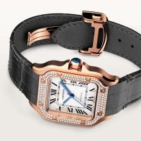 Santos de Cartier