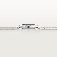 Panthère de Cartier SM