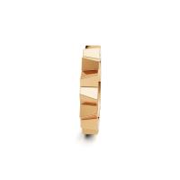Vivida Z Ring