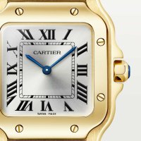 Santos de Cartier