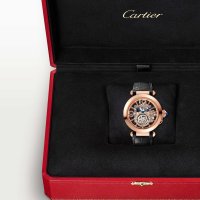 Pasha de Cartier