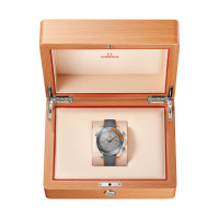 Seamaster Planet Ocean 600M
