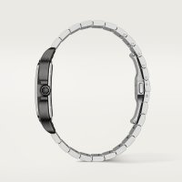 Santos de Cartier skelettiert