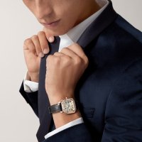 Santos de Cartier