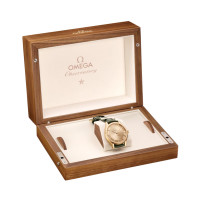 Constellation Observatory