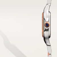 Panthère de Cartier