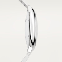 Ballon Bleu de Cartier