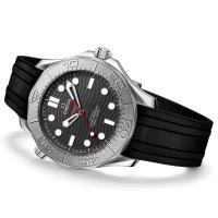 Seamaster Diver 300M