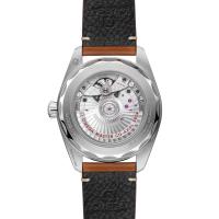 Seamaster Railmaster