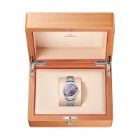 Seamaster Aqua Terra Shades
