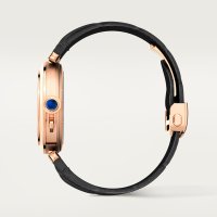 Pasha de Cartier