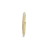 Satellite Fine Ring