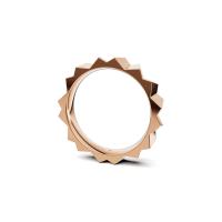Vivida Z Ring