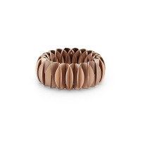 Phoenix Ring
