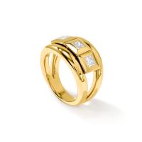 CURRICULUM VITAE 3 Ring Diamanten medium